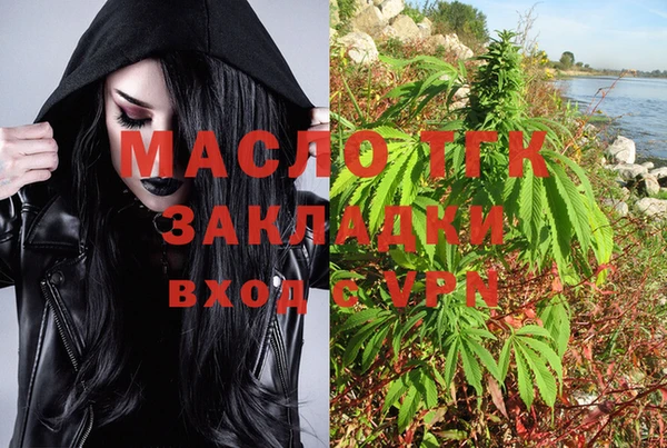 mix Богородицк